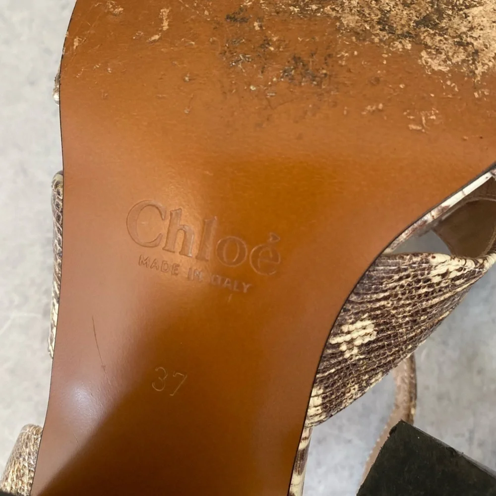 Chloe great see